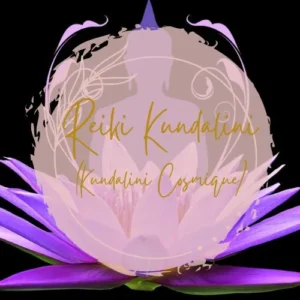 reiki kundalini en ligne apprentissage à distance elearning